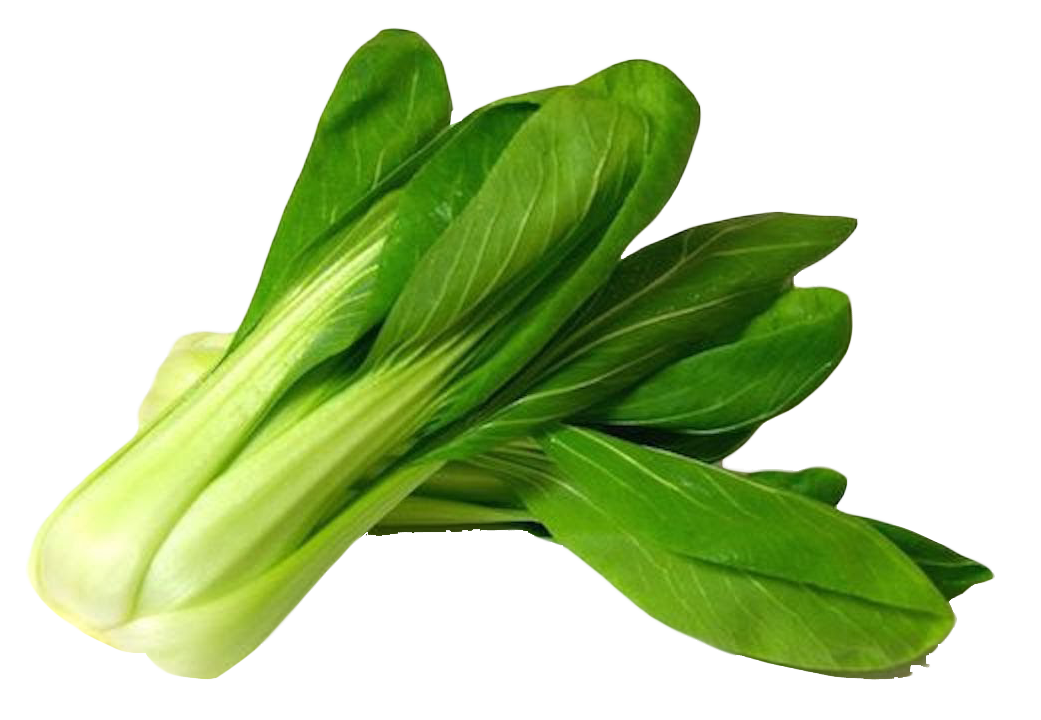 Bok Choy Chinese PNG File