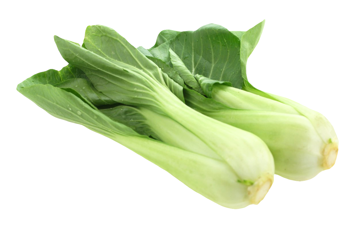 Bok Choy Chinese PNG Images