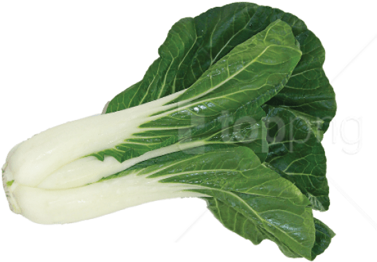 Bok Choy Chinese PNG Pic