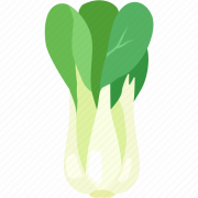 Bok Choy PNG Clipart