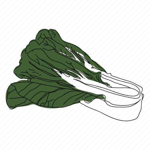 Bok Choy PNG Images