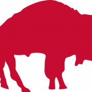 Buffalo Bills Logo PNG Photo