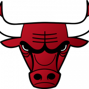 Bulls Logo PNG Images