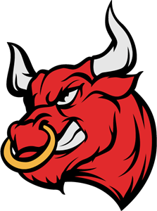 Bulls Logo PNG Photo