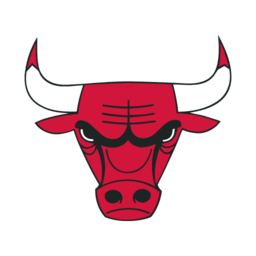 Bulls Logo