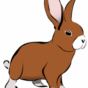 Bunny PNG HD Image