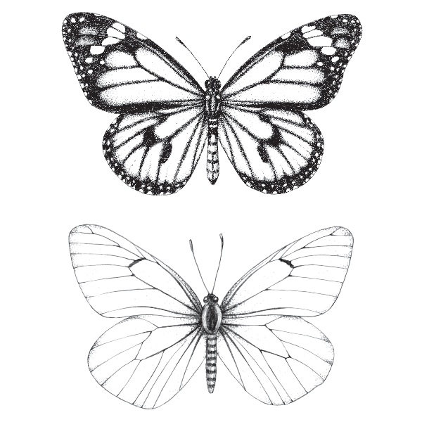 Butterfly Tattoo PNG Photo