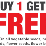 Buy Get Free PNG Picture