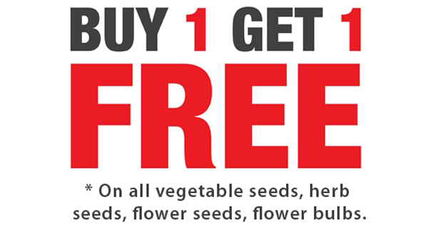 Buy Get Free PNG Picture