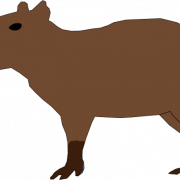 Capybara Background PNG