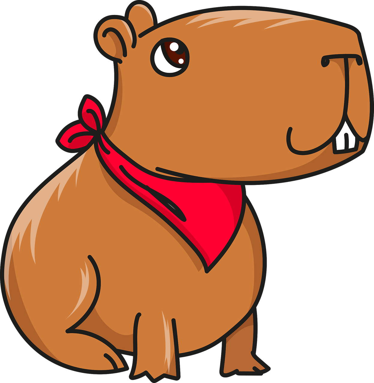 Capybara PNG Image HD