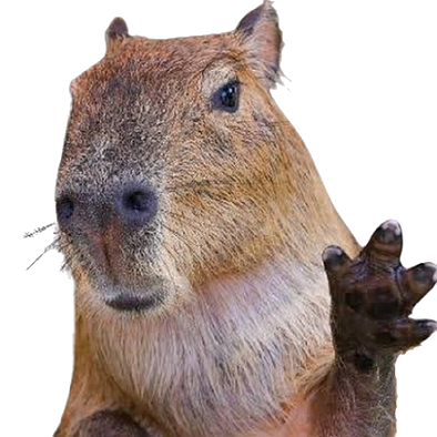 Capybara png images