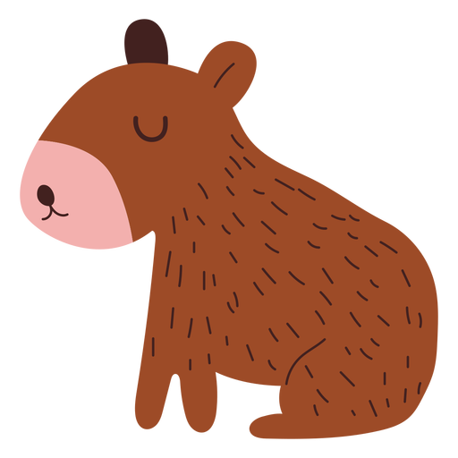 Capybara Transparent