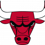 Chicago Bulls Logo PNG Cutout