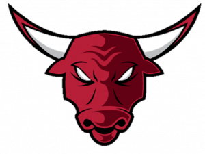 Chicago Bulls Logo PNG File