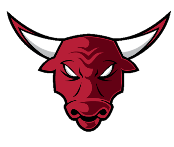 Chicago Bulls Logo PNG File