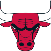 Chicago Bulls Logo PNG Photo