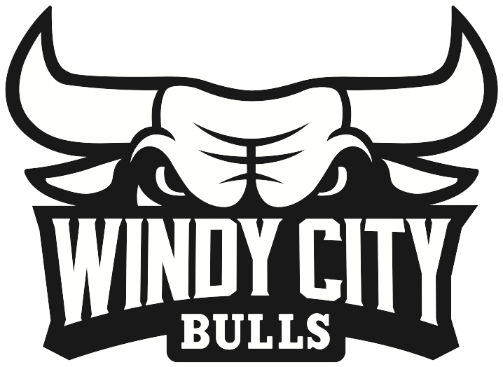 Chicago Bulls Logo PNG Pic