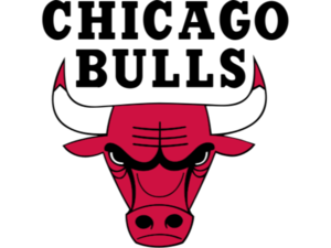 Chicago Bulls Logo PNG