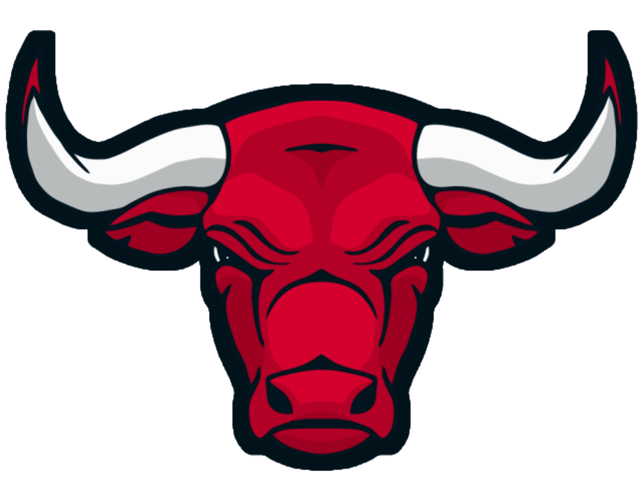 Chicago Bulls Logo Transparent