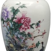 Chinese Porcelain Vase Transparent