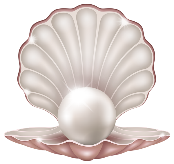Clam PNG Image HD