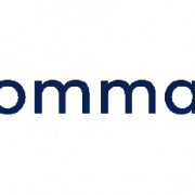 Commanders Logo PNG Picture