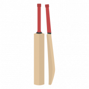 Cricket Sport Bat PNG Pic