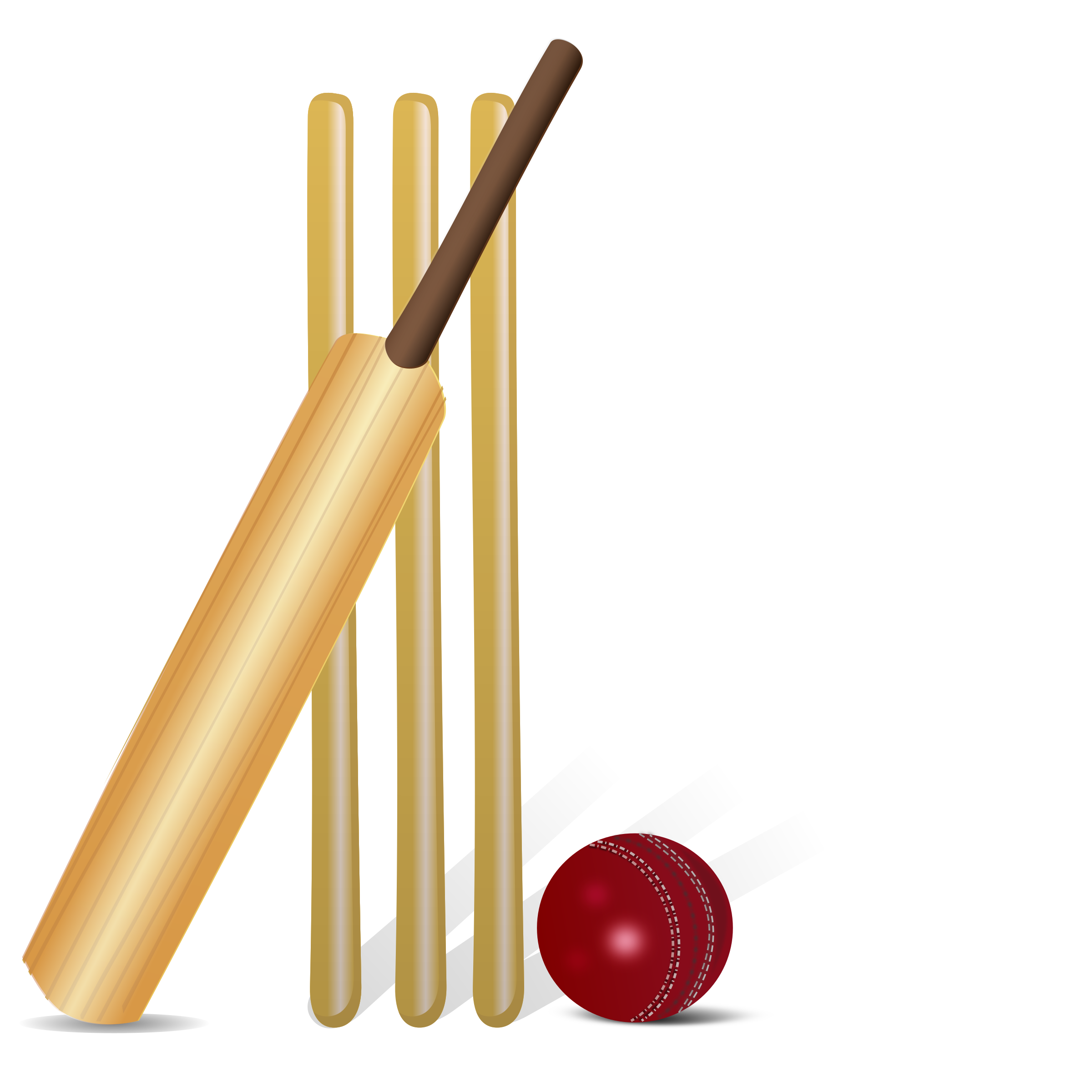 Cricket Sport Bat