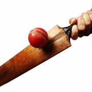 Cricket Sport PNG Image HD