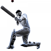 Cricket Sport PNG Photo