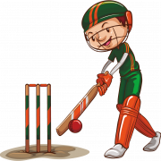 Cricket Sport PNG Bild