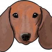 Dachshund PNG Images HD