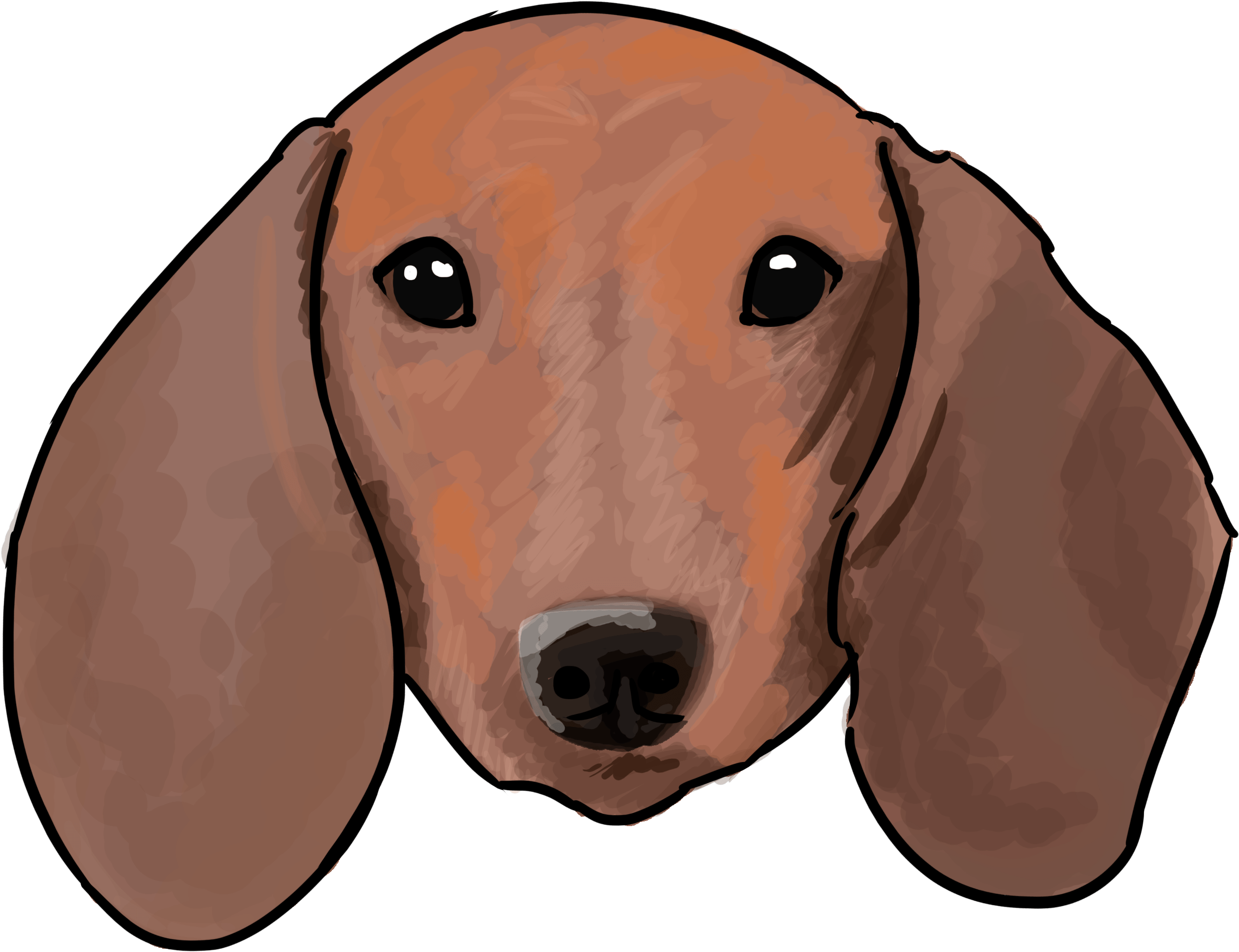 Dachshund PNG Images HD