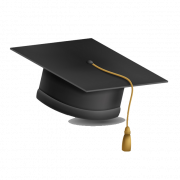 png degree