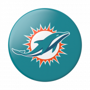 Dolphins Logo PNG Photo