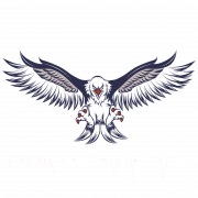 Eagles Logo PNG HD Image