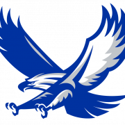 Eagles Logo PNG Image