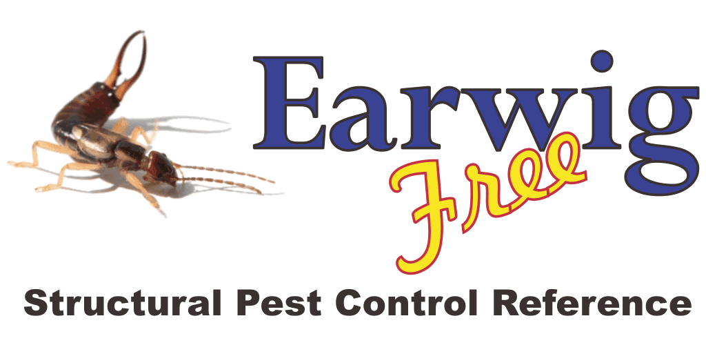 Earwig Bug PNG Pic