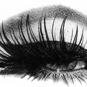 Eyelashes Logo PNG Photo