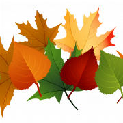 Fall Leaves PNG Cutout