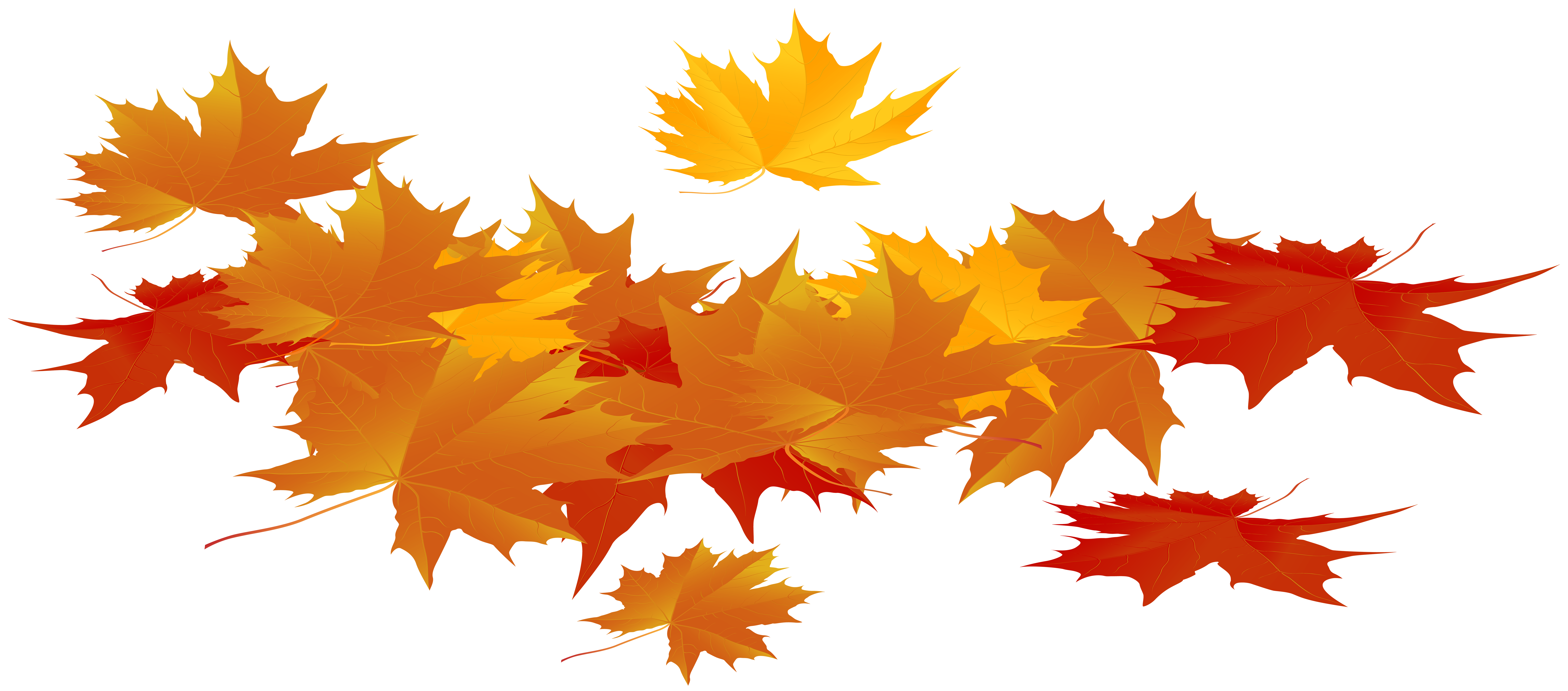 Fall Leaves PNG Free Image