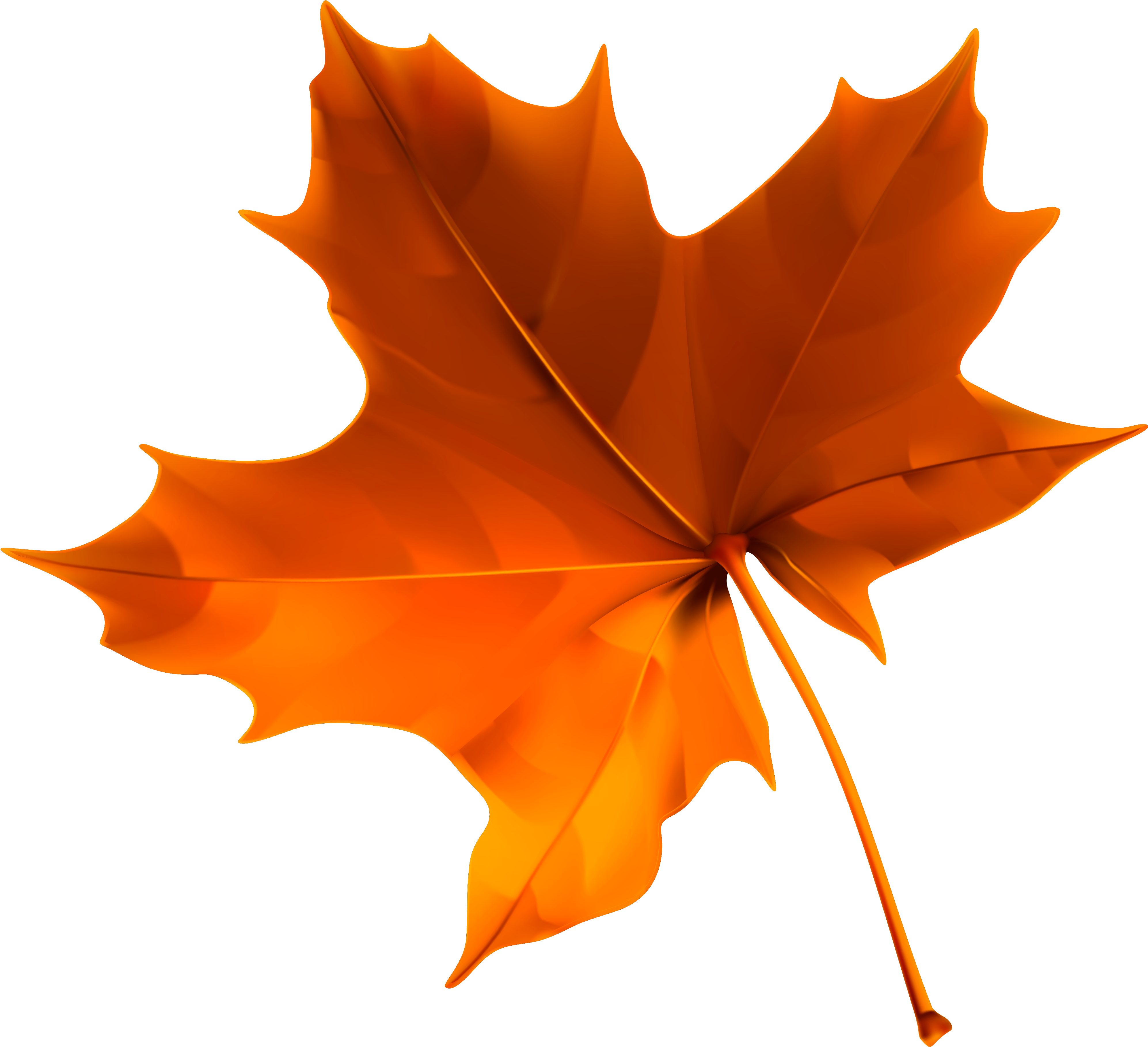 Fall Leaves PNG Images HD
