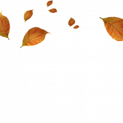 Fall Leaves PNG Pic