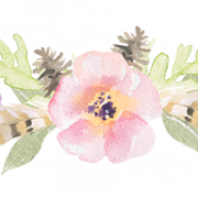 Flower Divider PNG Clipart