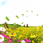 Flower Windmill PNG HD Image