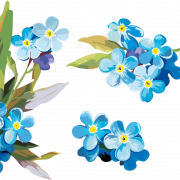 Forget Me Not Blue