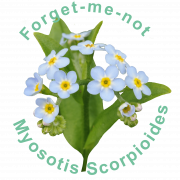 Forget Me Not Blue PNG Cutout