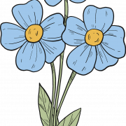 Forget Me Not Blue PNG Image