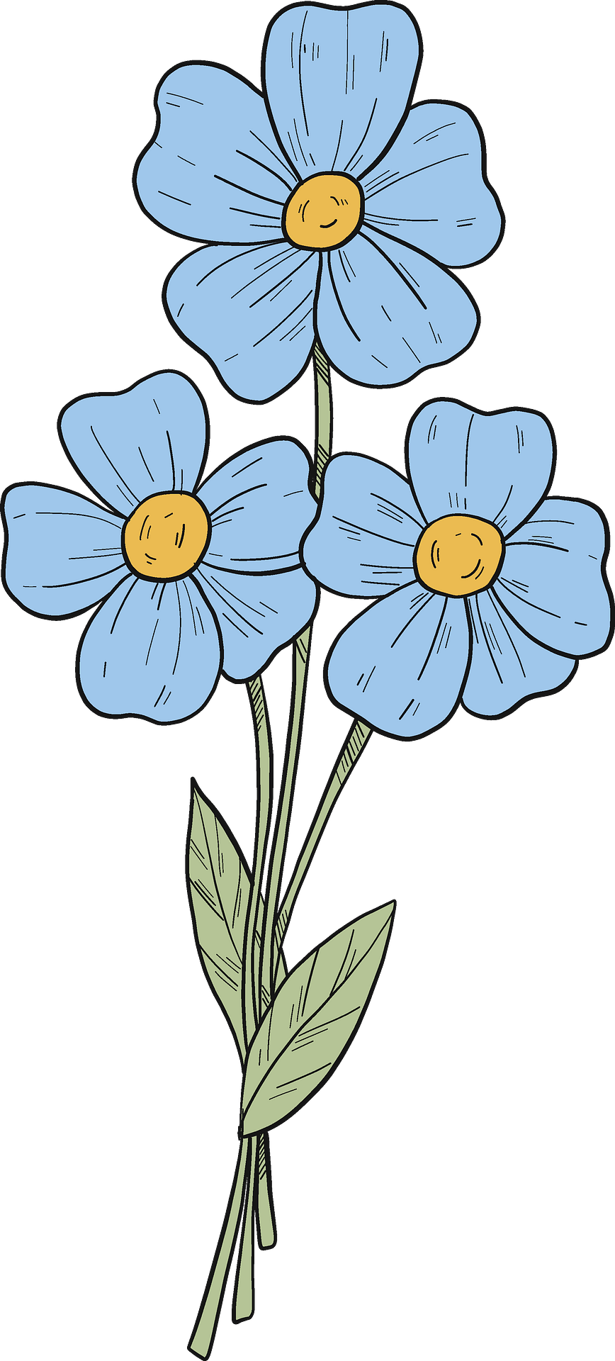 Forget Me Not Blue PNG Image